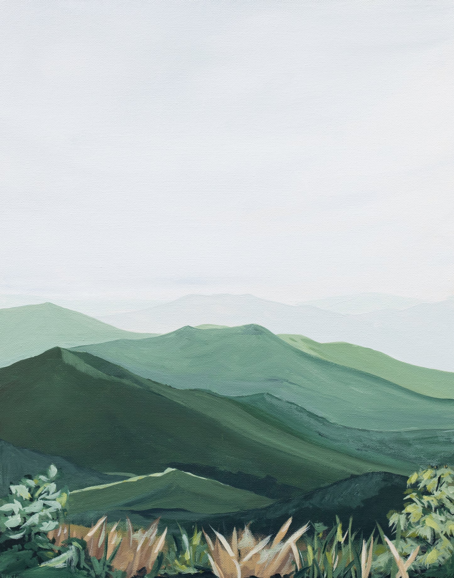 Framed Original: View from Roan Mountain