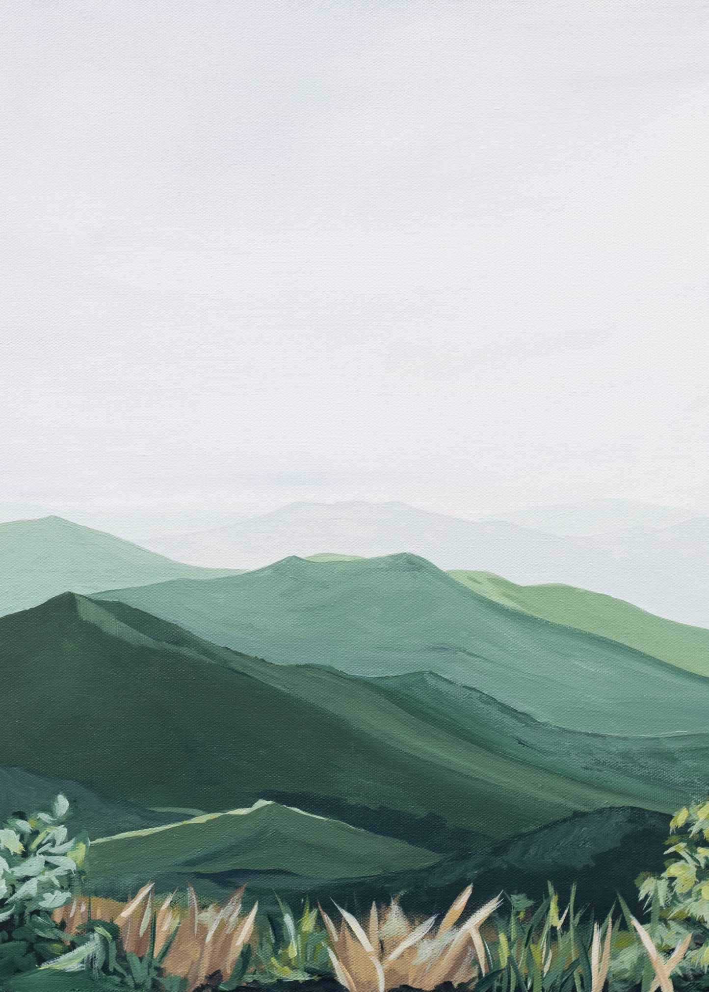 Print: Roan Mountain