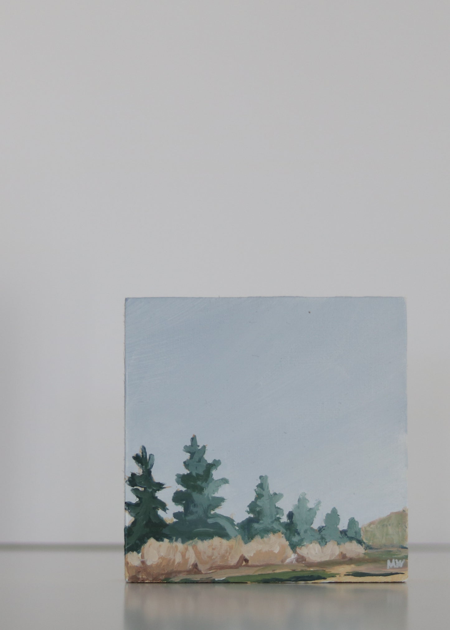 Colorado Pines