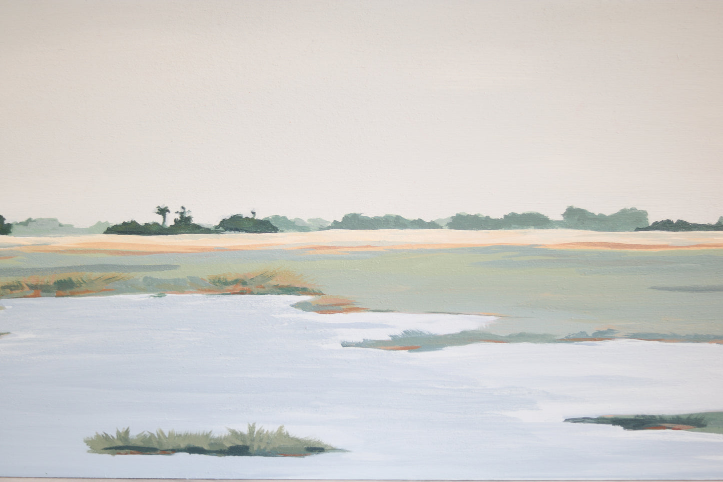 Kiawah Island Parkway; Just before Rhett's Bluff