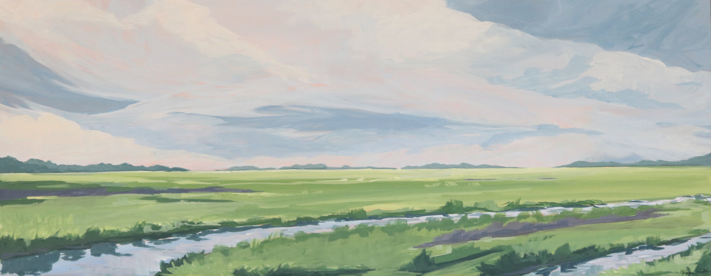 Those Big Marsh Skies