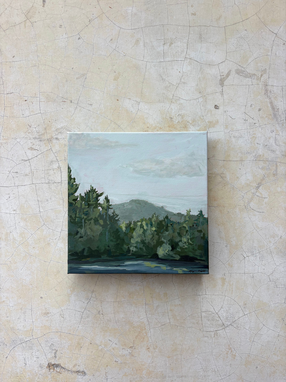 Plein Air: Whisper Lake, Sapphire, NC