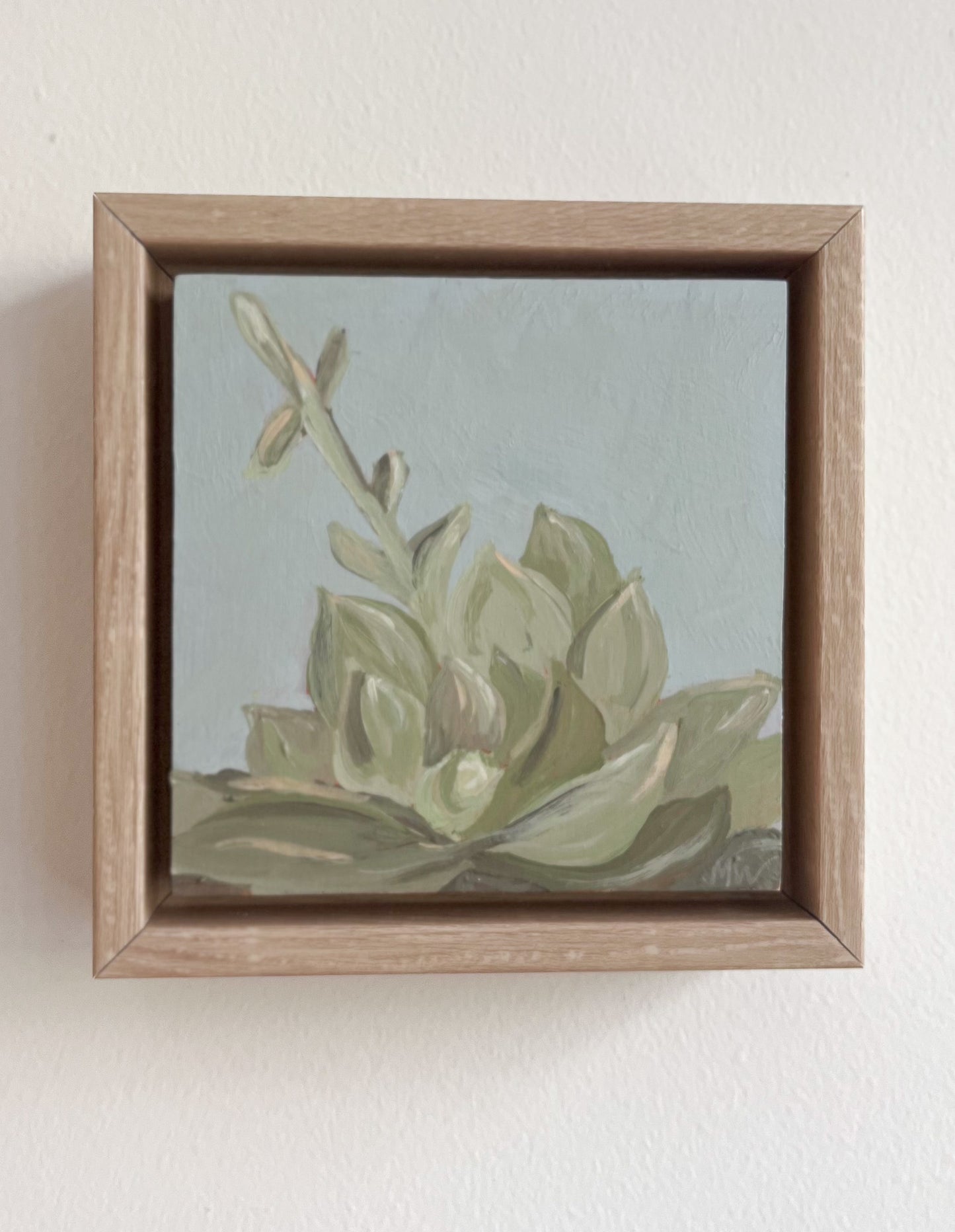 Framed: Blue Haze Succulent #7