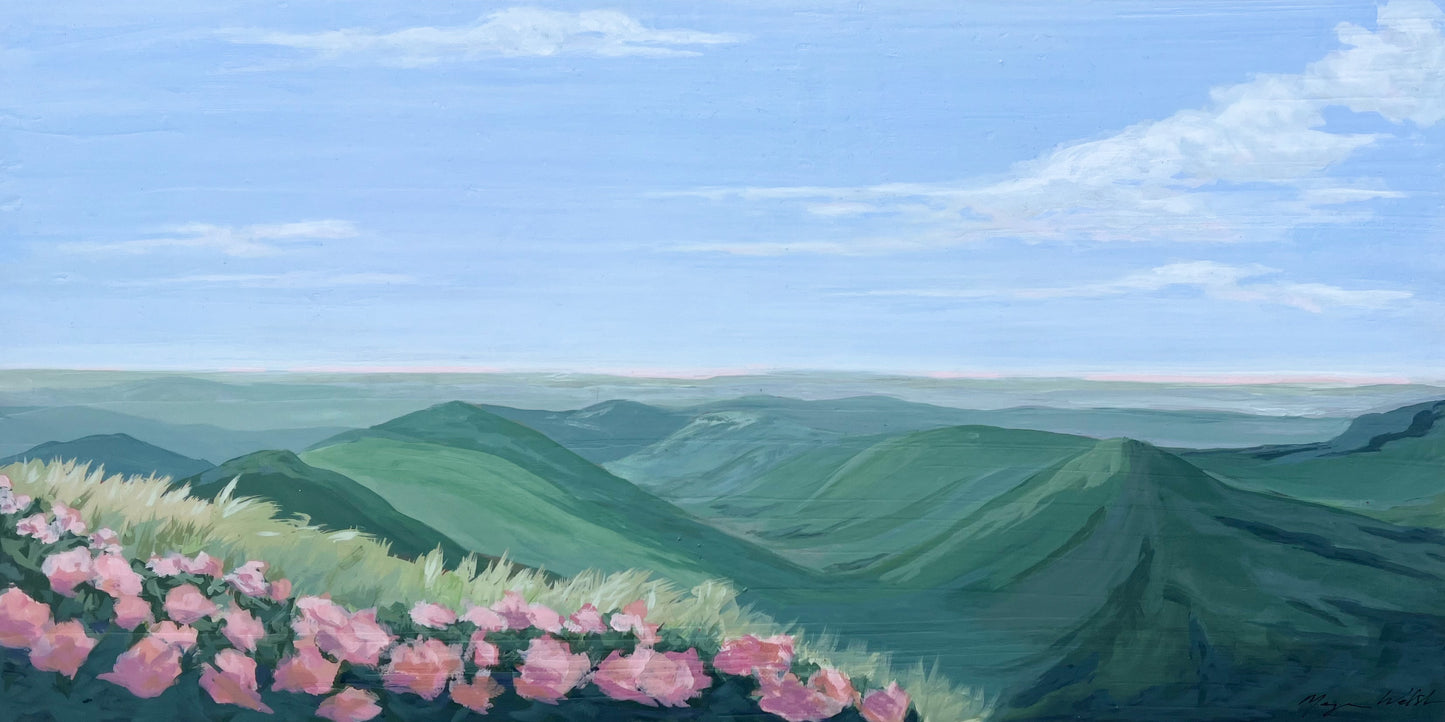 “ Those Pink Petals on the Ridge ”