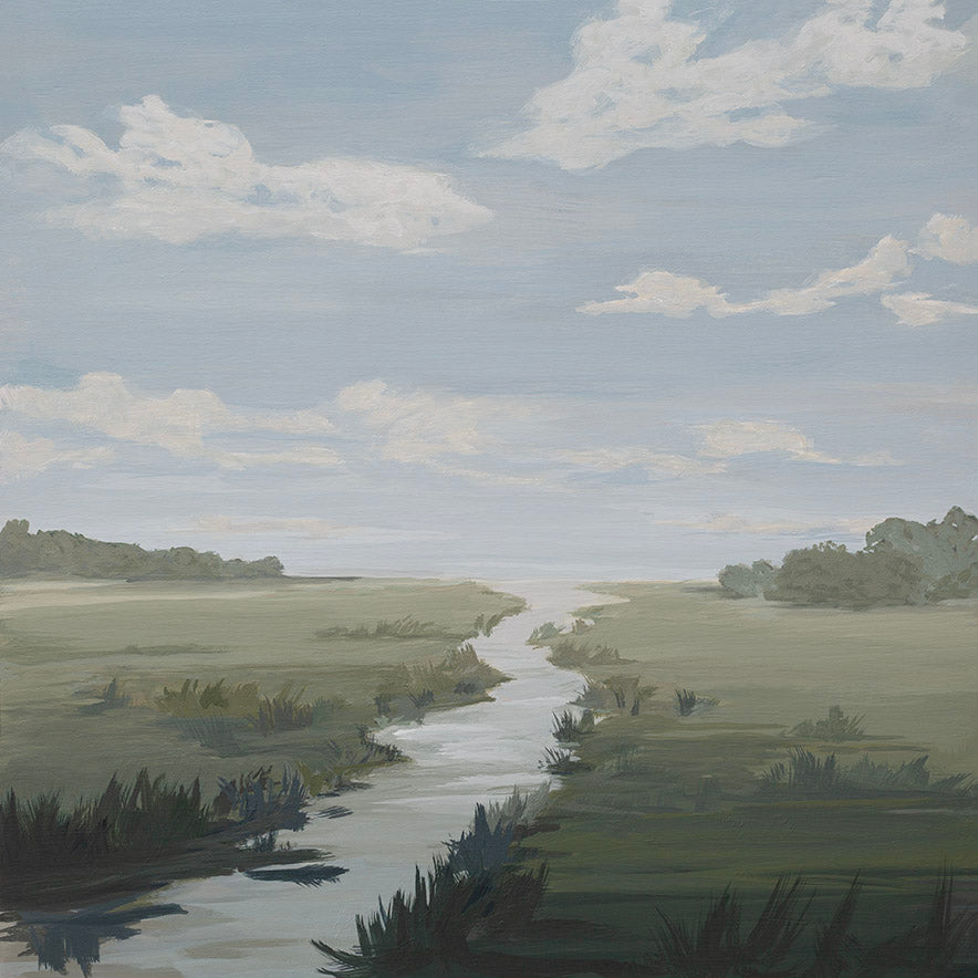 A Marsh Somewhere
