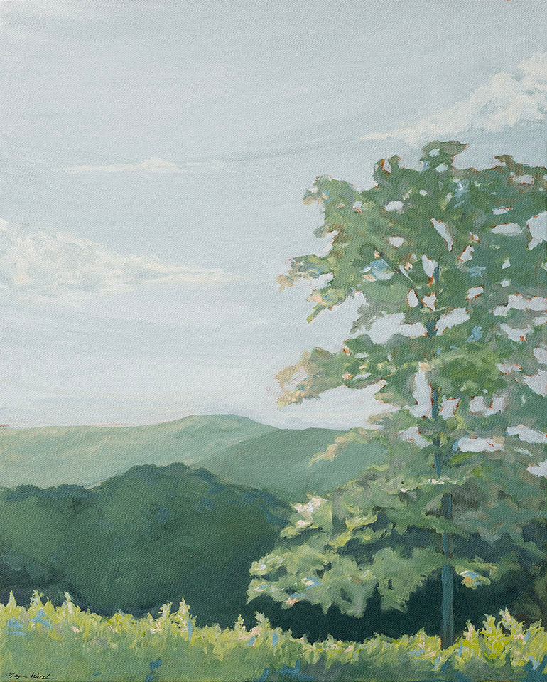 Overlook