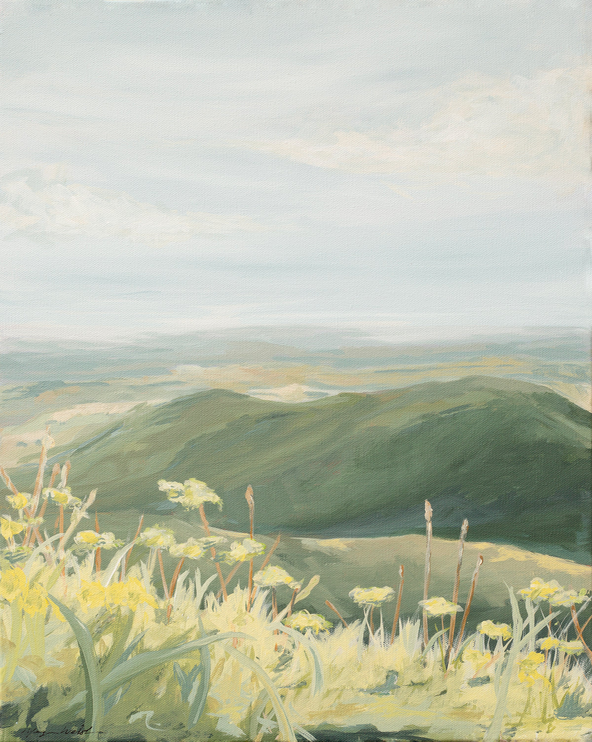 A Golden Glimmer on the Mountain.