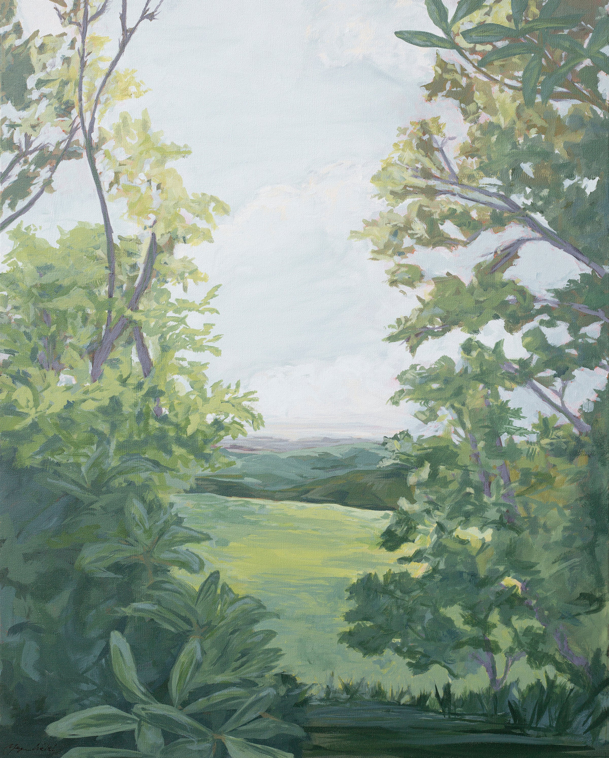 Beyond the Trees