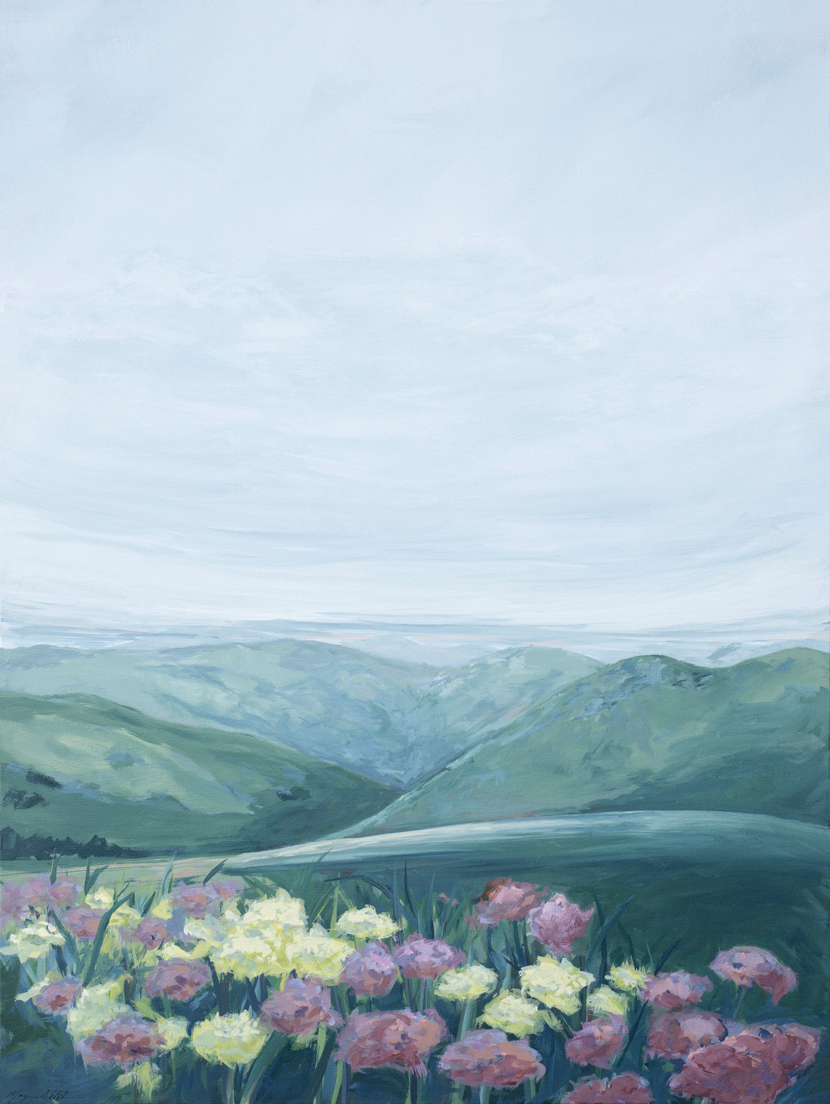 Blue Ridge Summer Flower View
