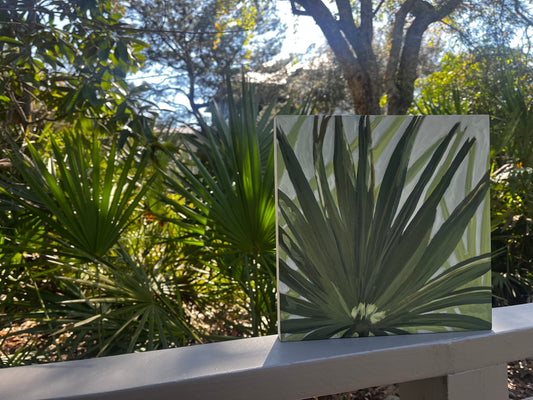 Spring Break Palm