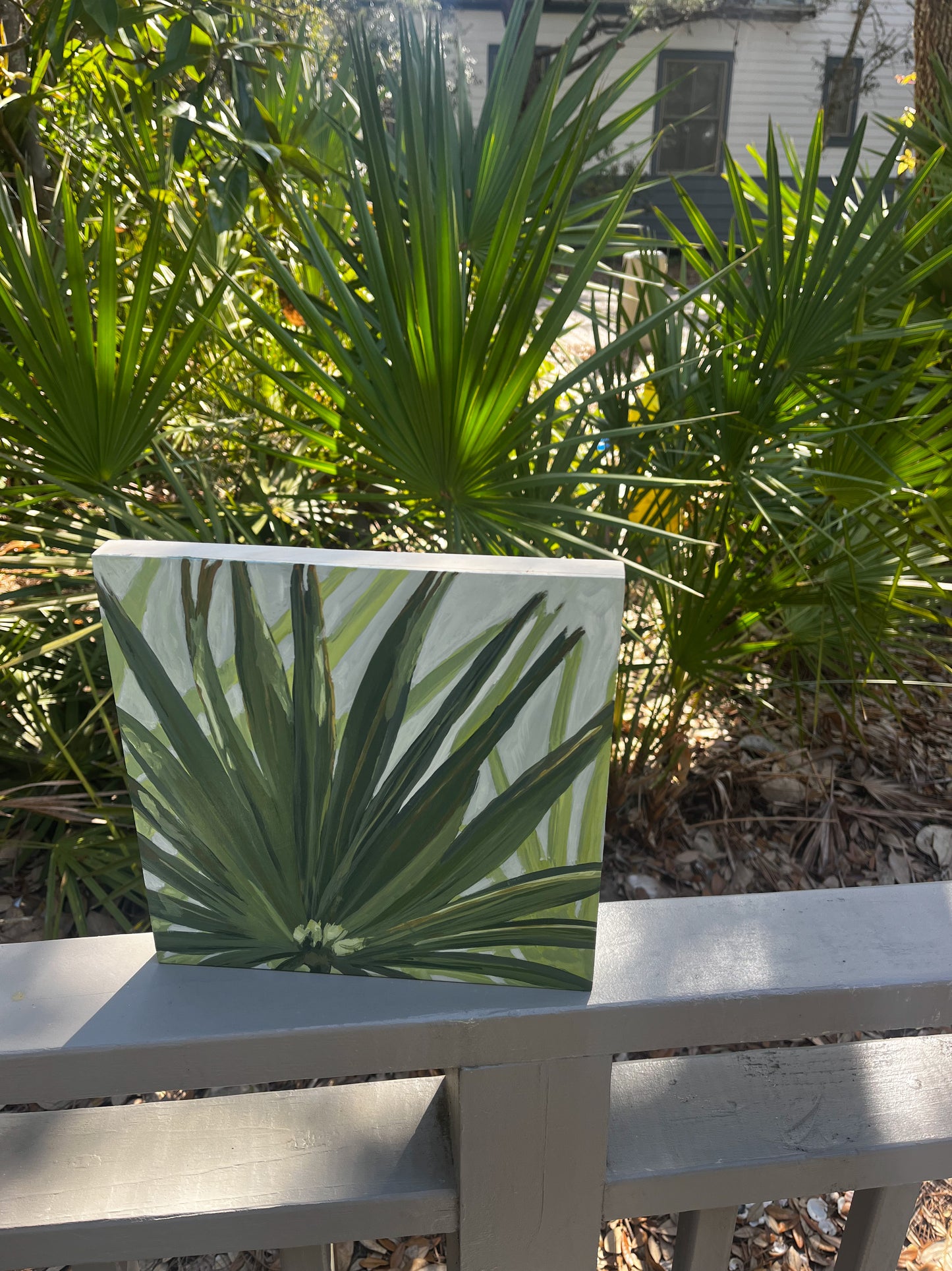 Spring Break Palm