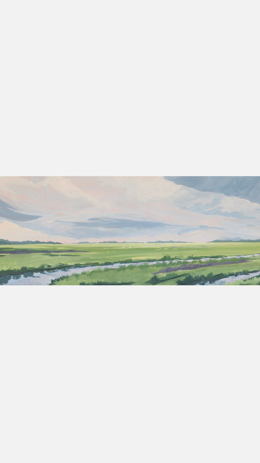 Those Big Marsh Skies