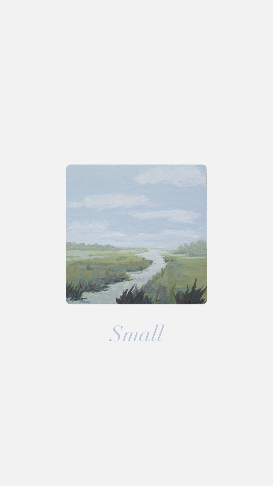 Small Soft Marsh