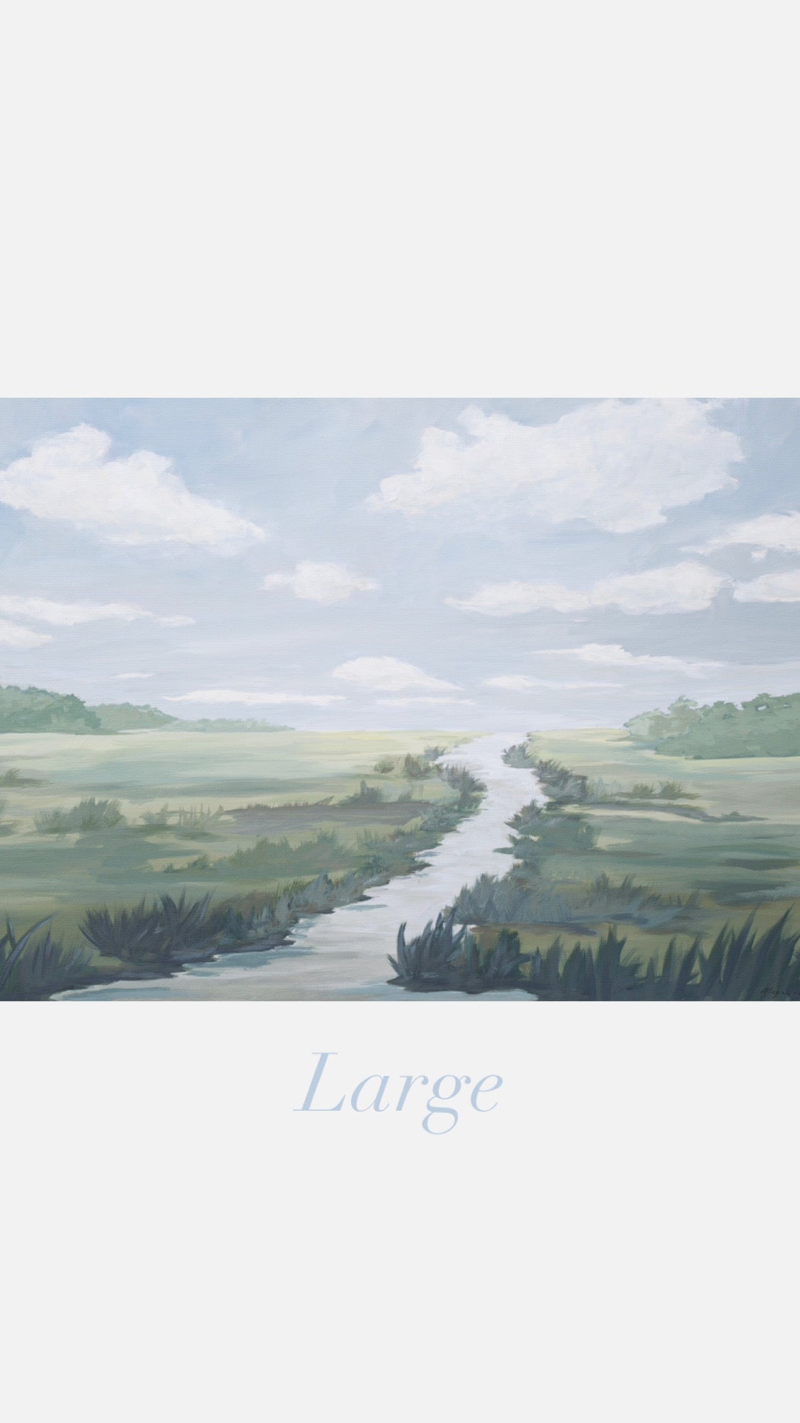 Soft Green Marsh