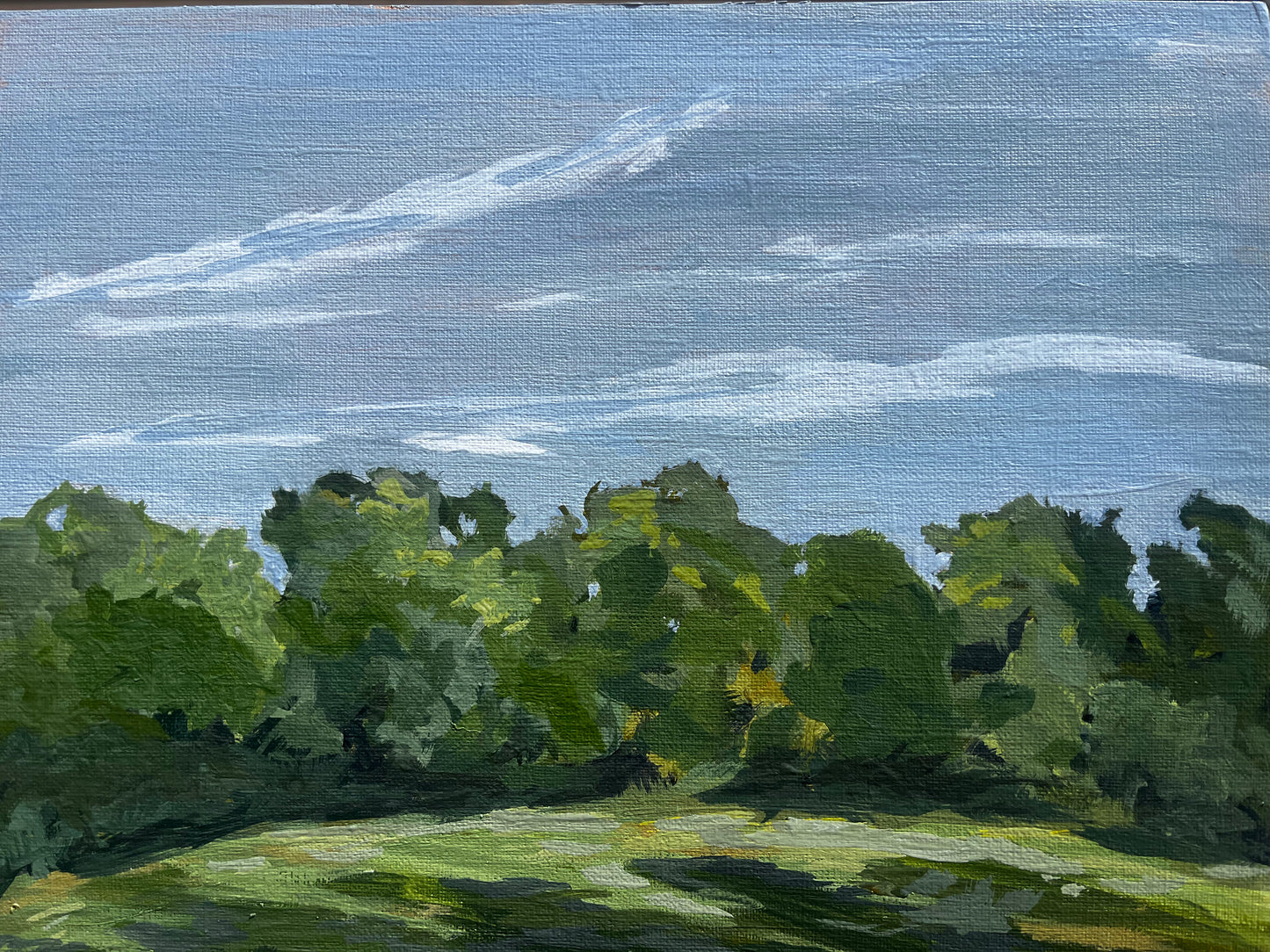 Spring Trees