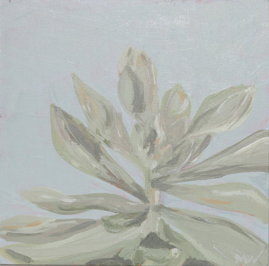 Framed: Blue Haze Succulent #1