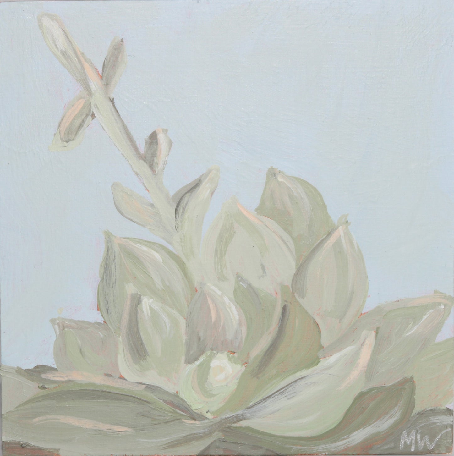 Framed: Blue Haze Succulent #7
