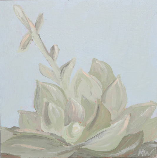 Framed: Blue Haze Succulent #7
