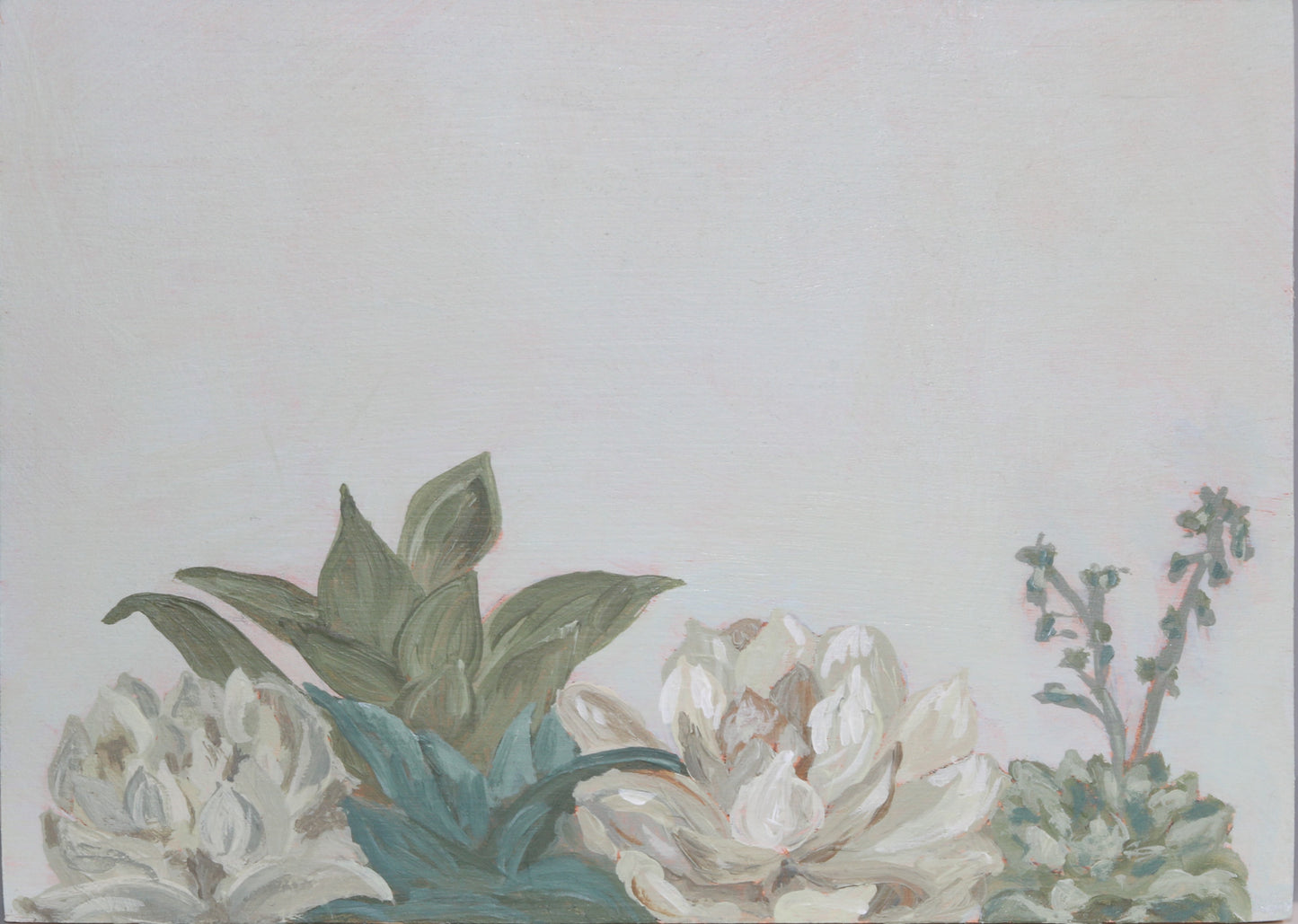 Framed: A Little Row of Succulents