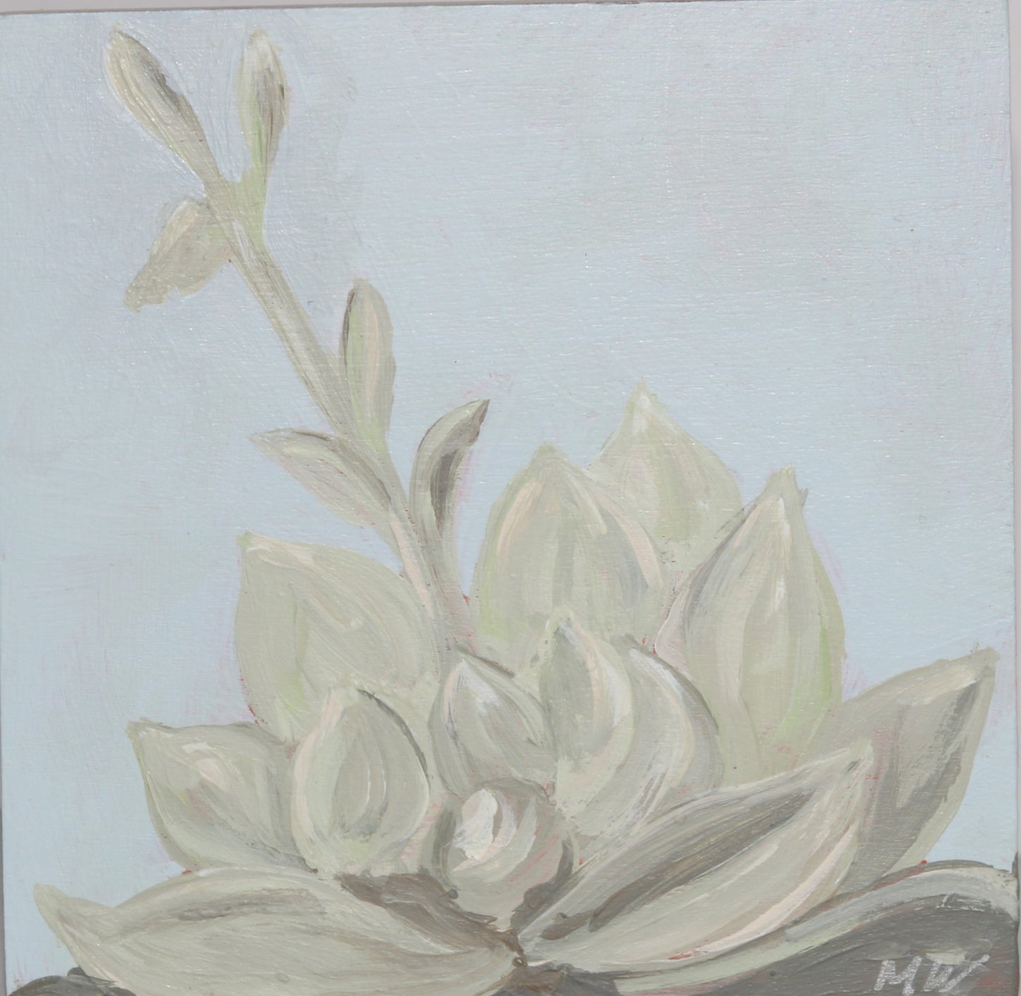 Framed: Blue Haze Succulent #8