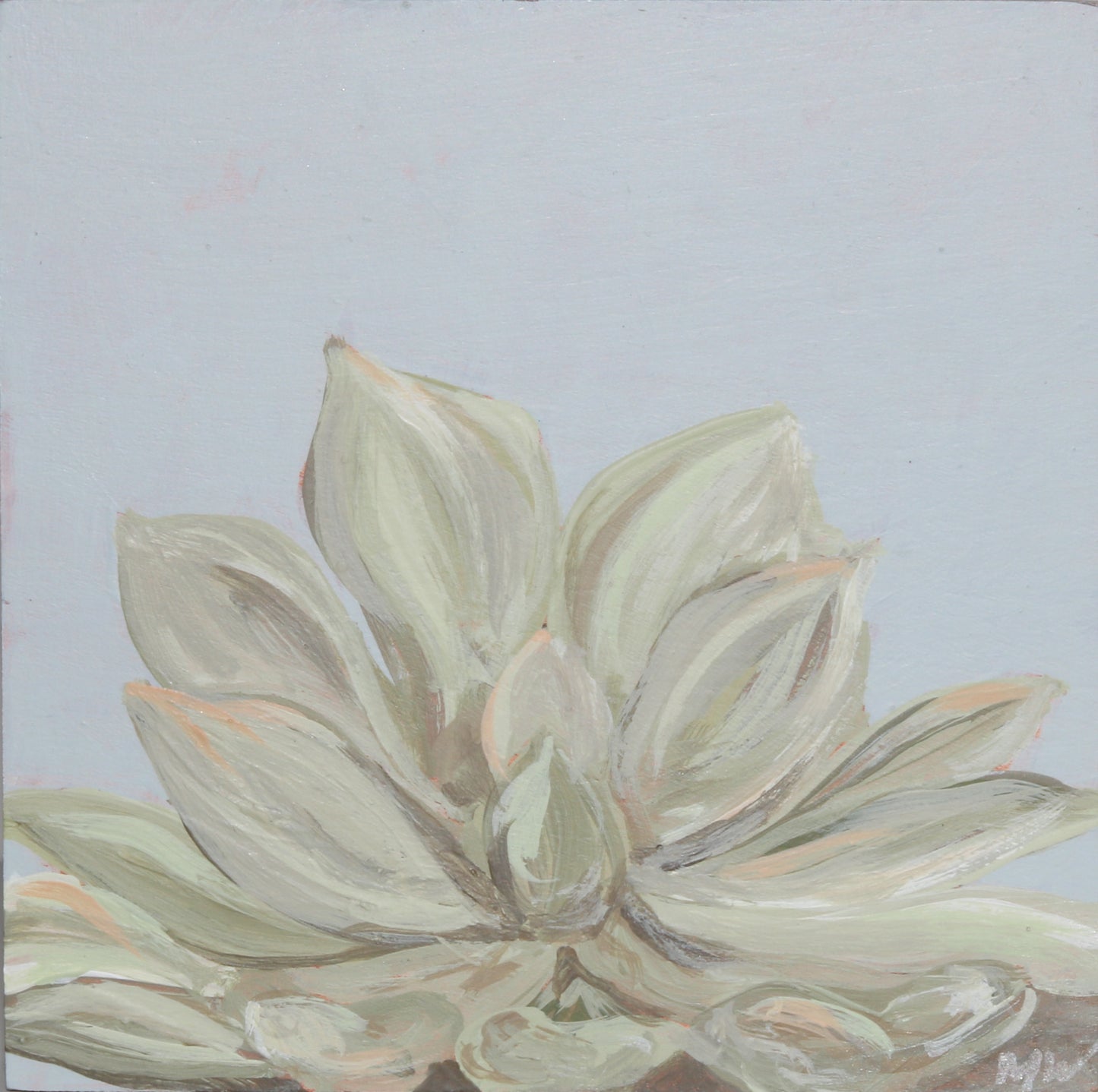 Framed: Blue Haze Succulent #6