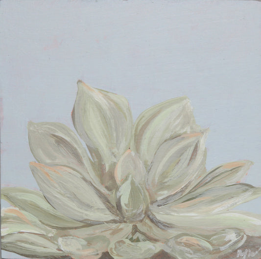Framed: Blue Haze Succulent #6