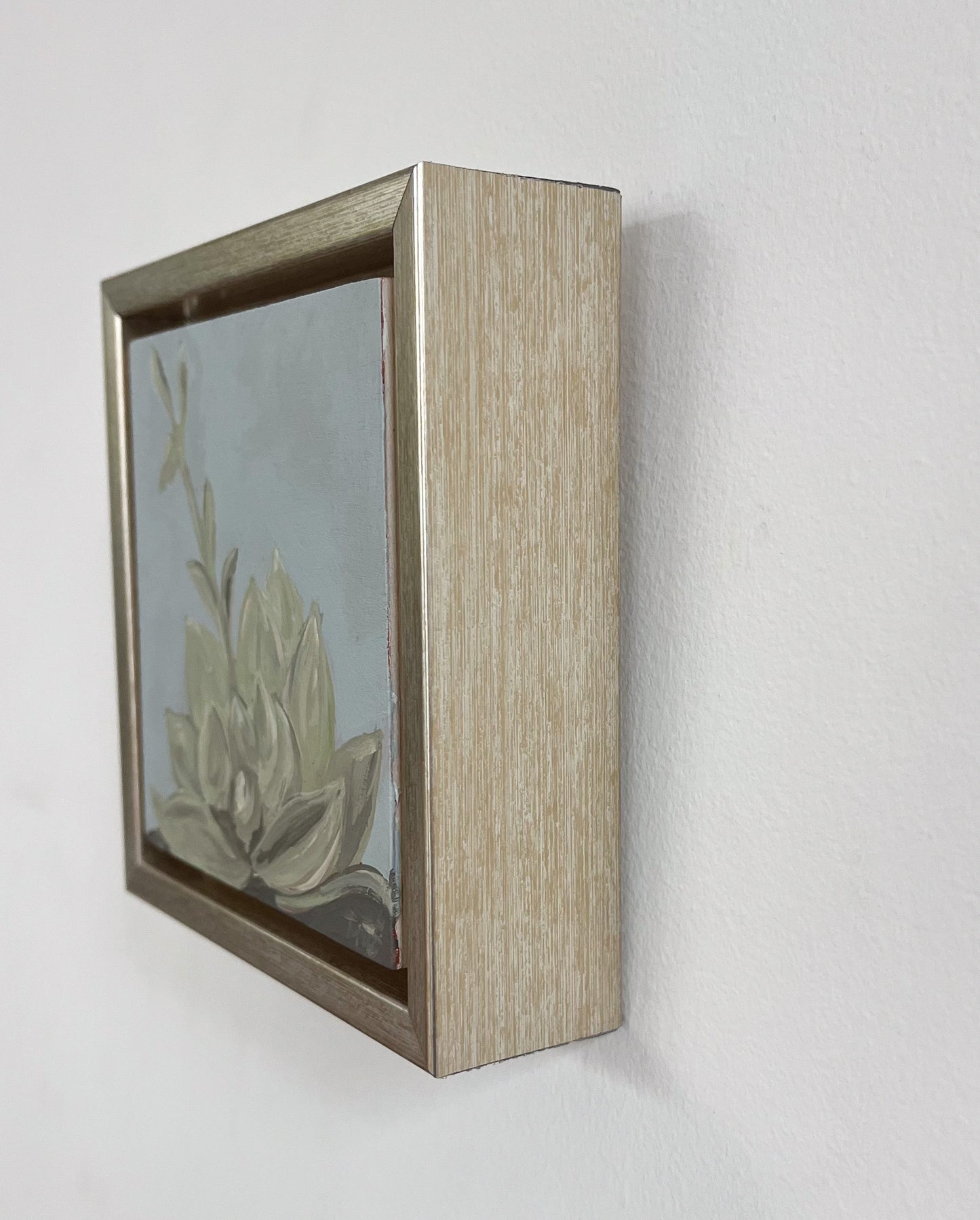 Framed: Blue Haze Succulent #8