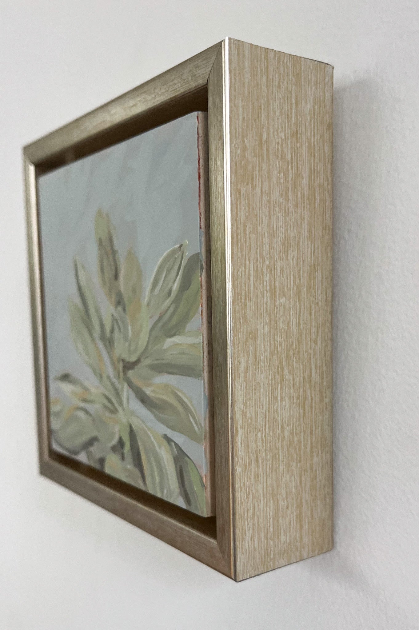Framed: Blue Haze Succulent #2