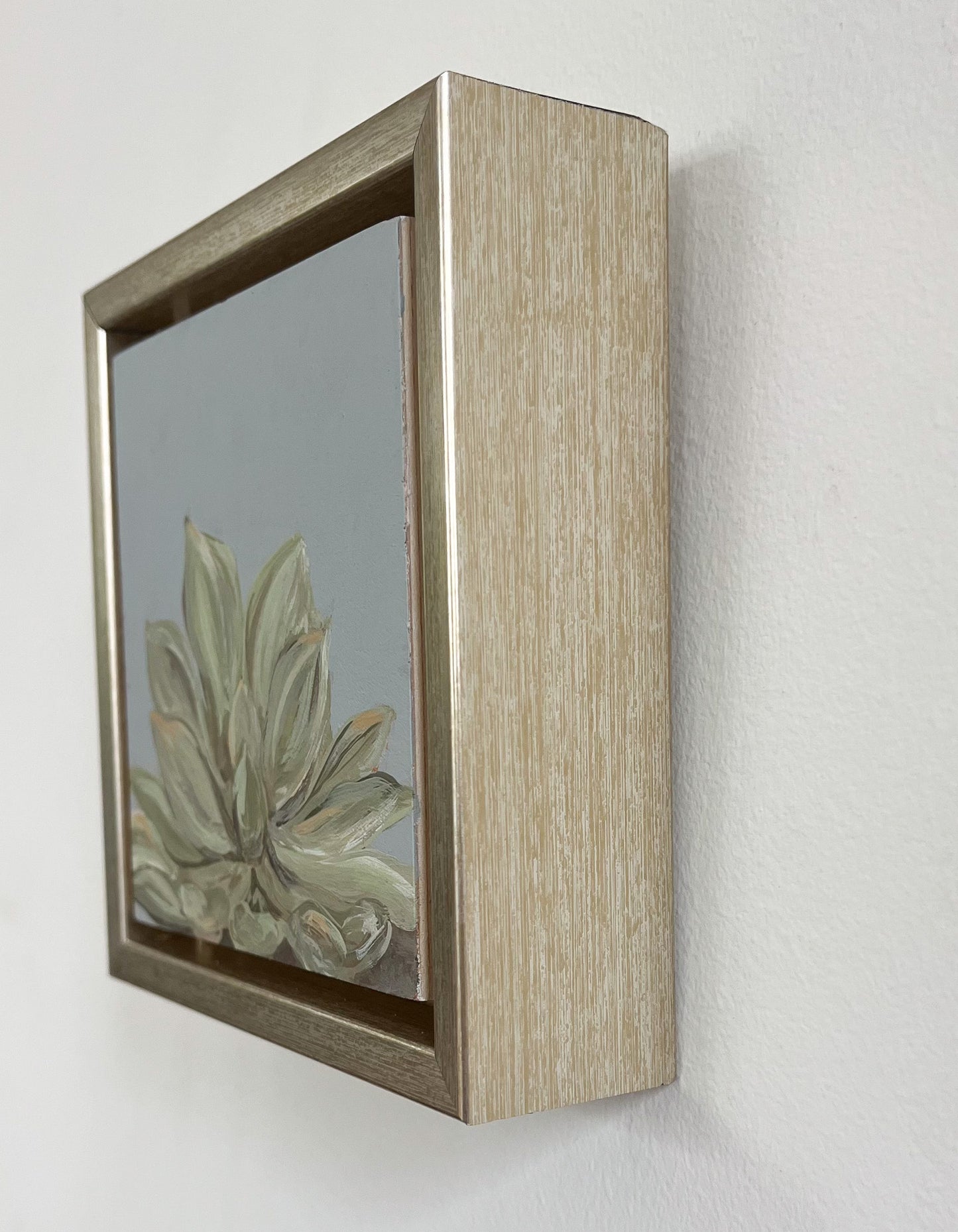 Framed: Blue Haze Succulent #6