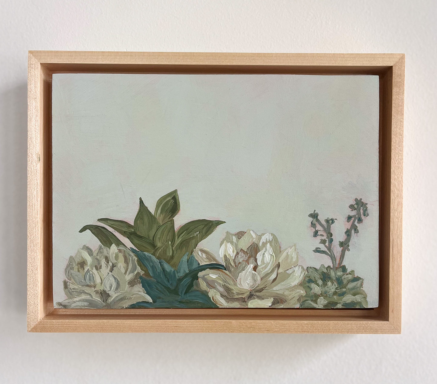 Framed: A Little Row of Succulents