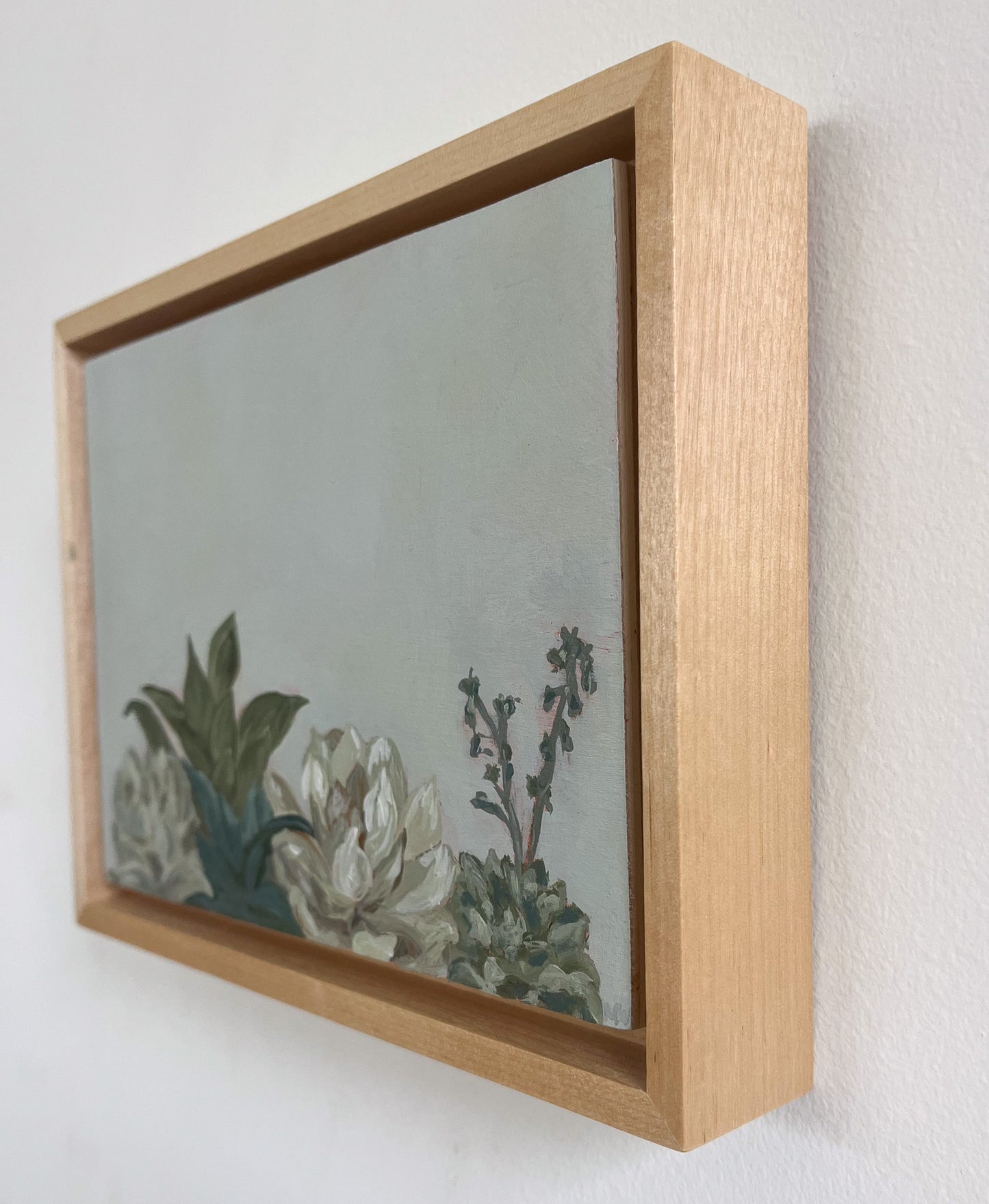 Framed: A Little Row of Succulents