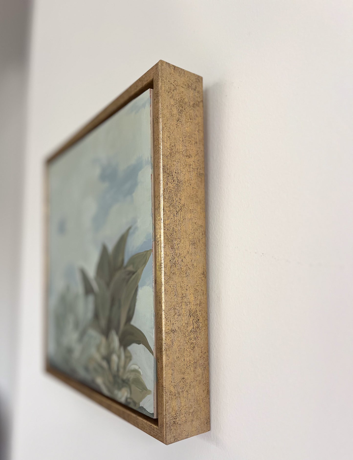 Framed: Trio of Succulents