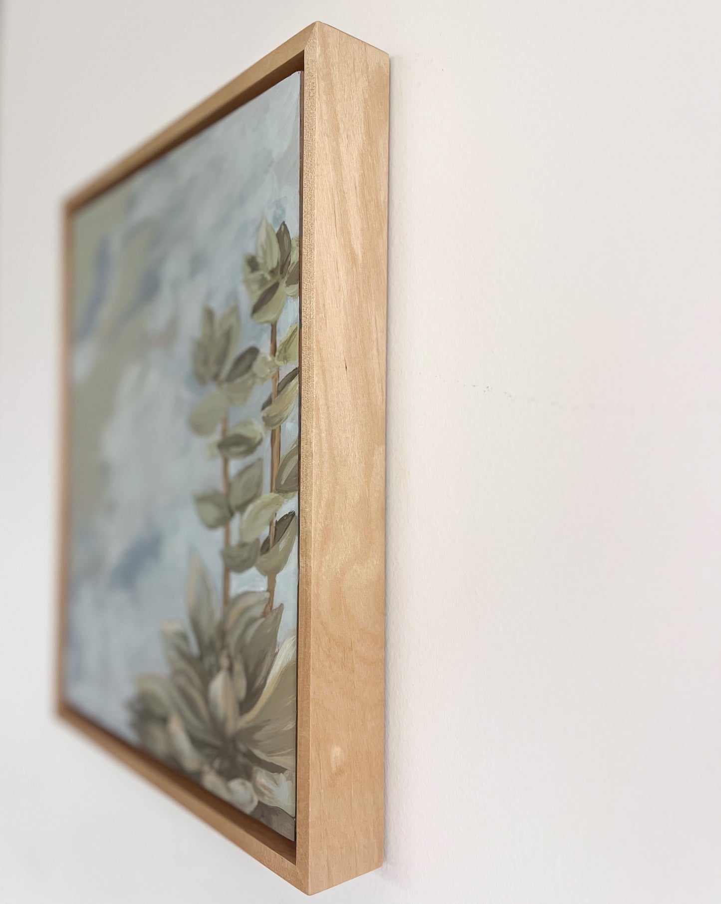 Framed: Abstract Succulents