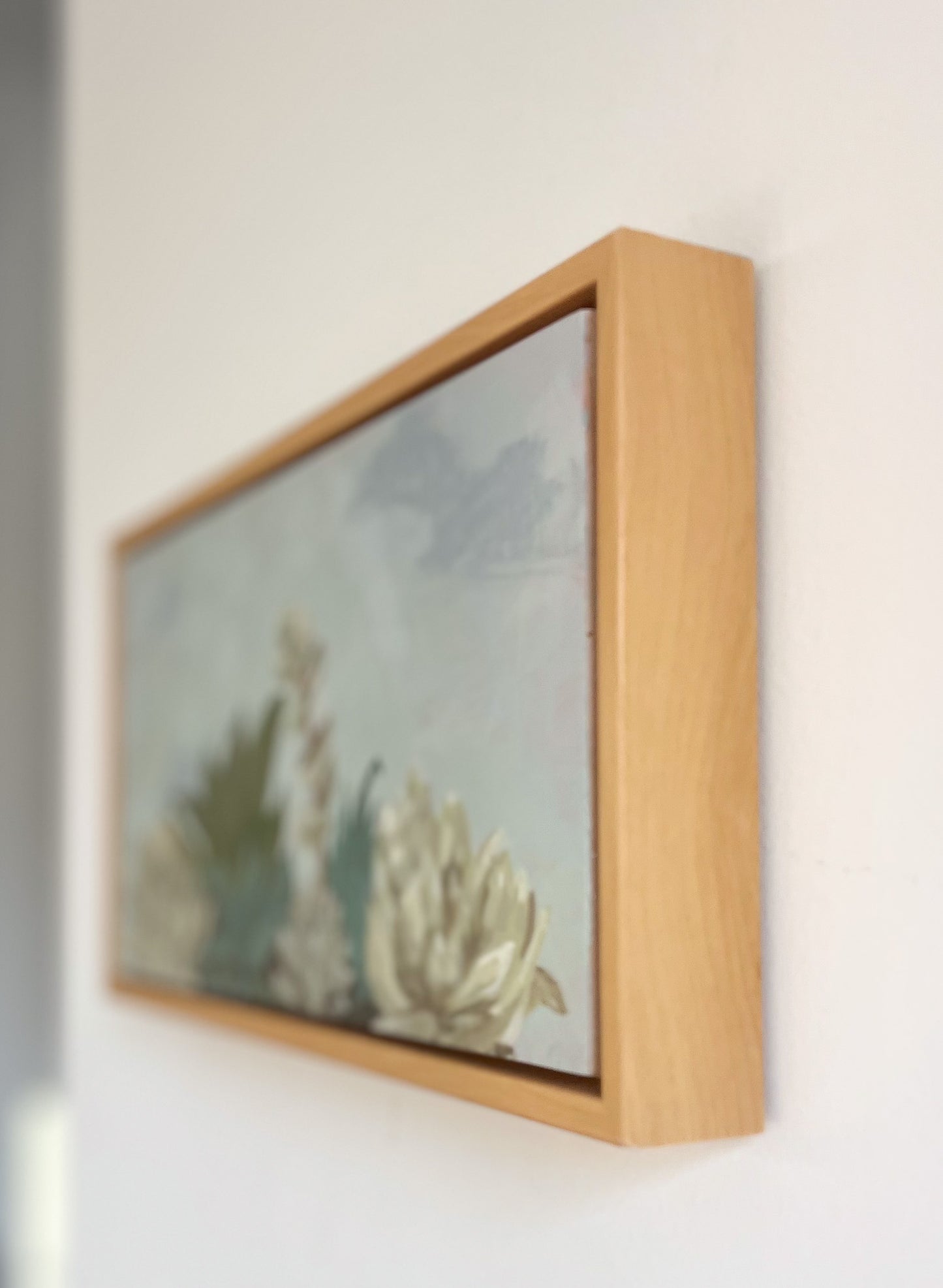 Framed: "Row of Seven Succulents"