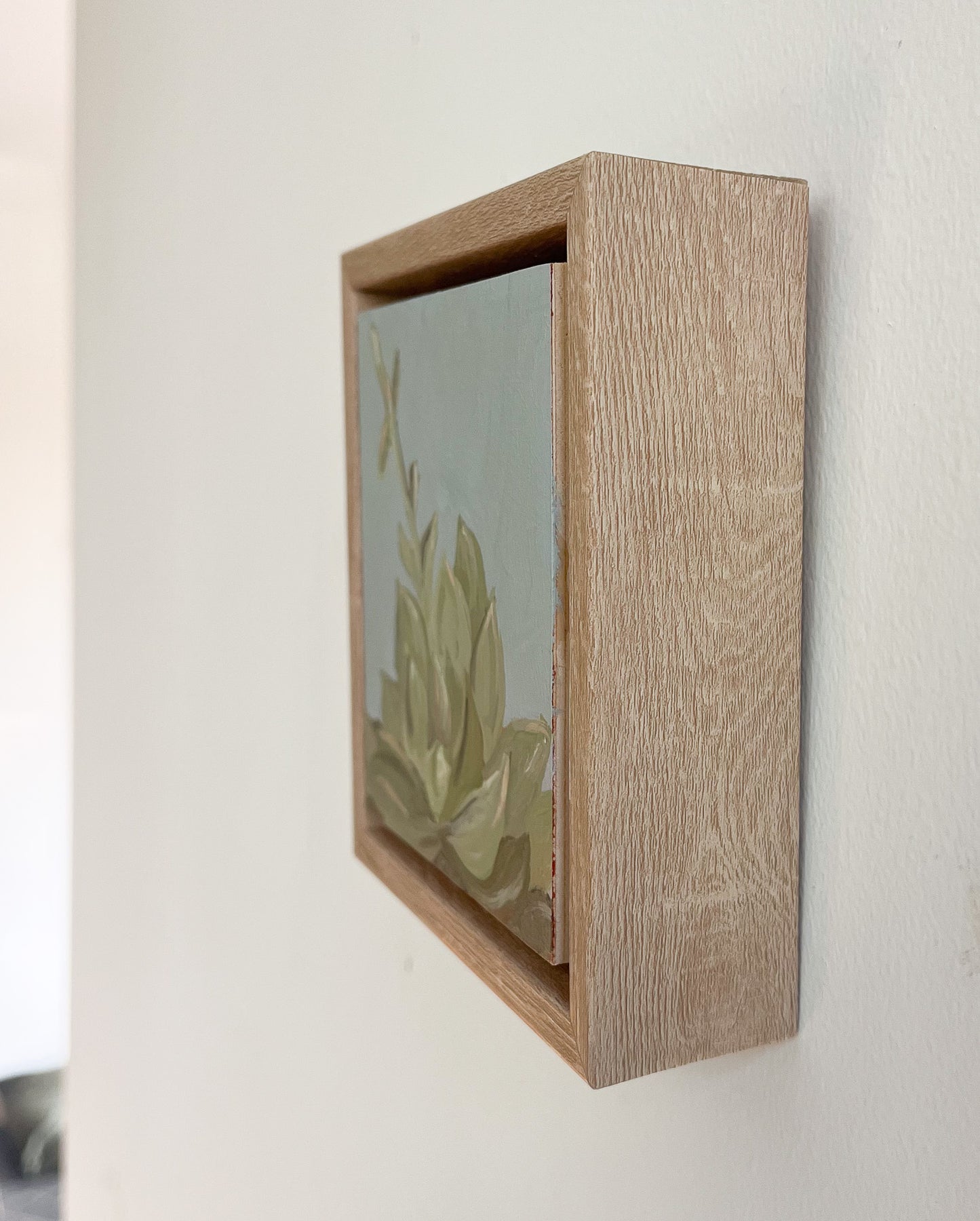Framed: Blue Haze Succulent #7
