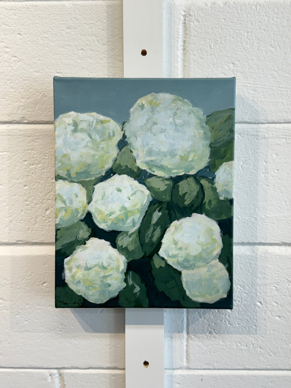 Blue Ridge Hydrangea