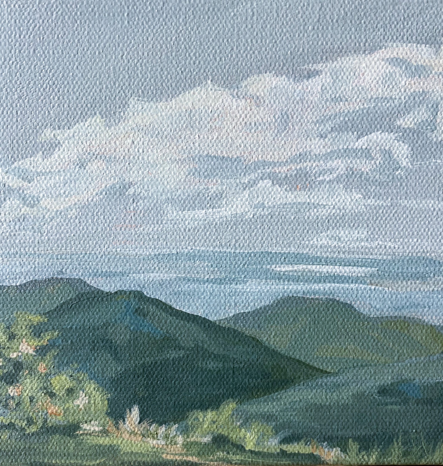 “A Little Ridge View”